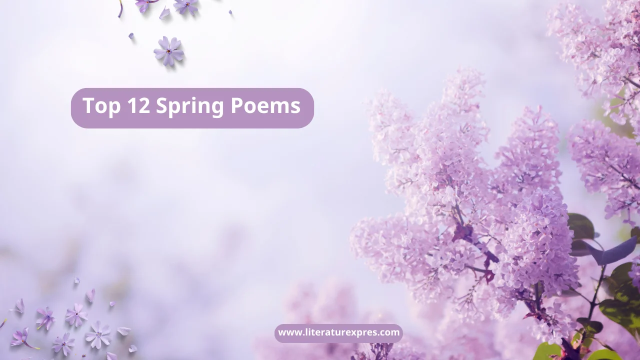 Top 12 Spring Poems for Nature Lover