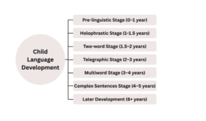 Discuss the different stages of Child Language Development. 1 123